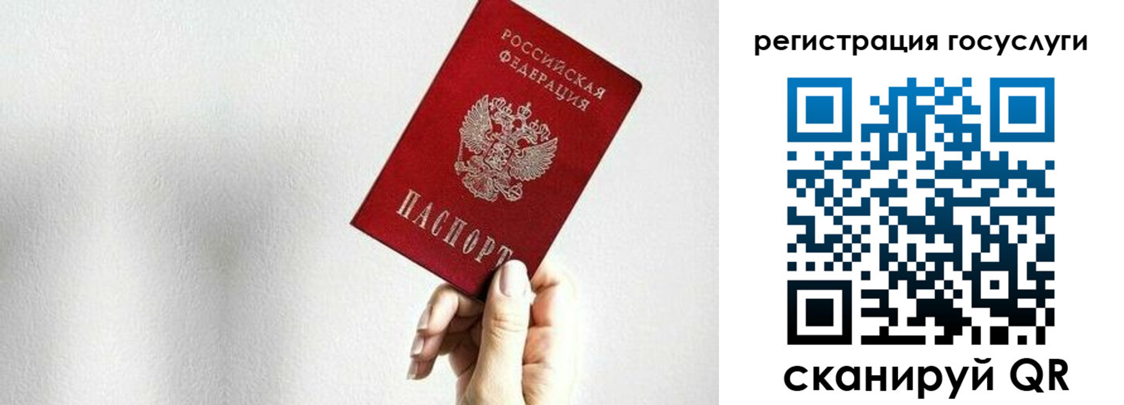 прописка гарантия в Ардоне